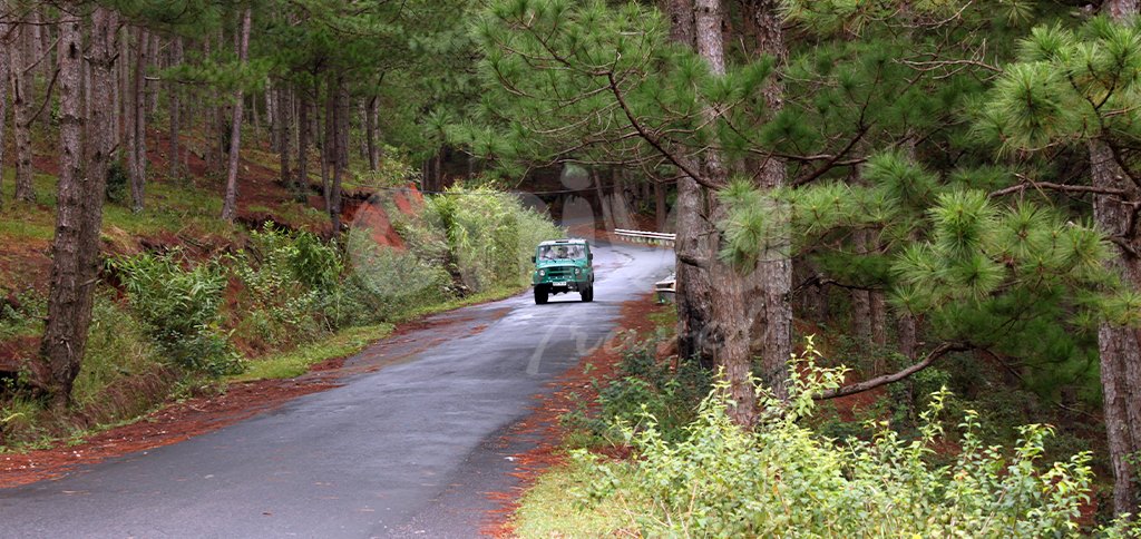 Voyage Vietnam - Dalat