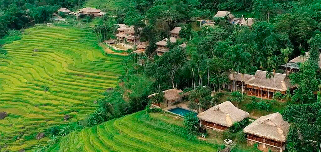 Les rizières en terrasse à Pu Luong