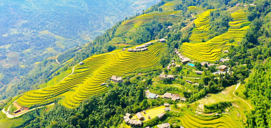 Les rizières en terrasse à Hoang Su Phi